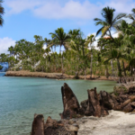 la Isla La Tortuga es un tesoro escondido en Venezuela